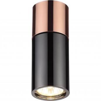 Потолочный светильник ODEON LIGHT DUETTA 3583/1C