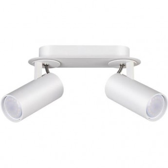 Спот ODEON LIGHT CORSE 3873/2C