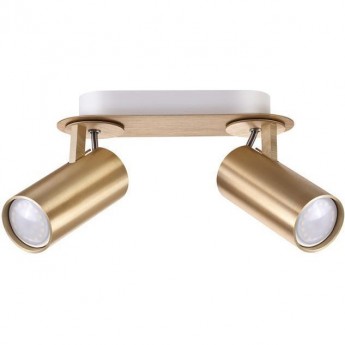 Спот ODEON LIGHT CORSE 3876/2C